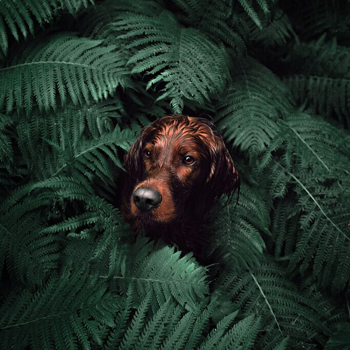 TC WEbshop UeberUns NEU TCGG Desktop