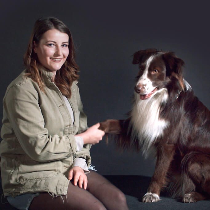 TC WEbshop UeberUns NEU Feedback Desktop