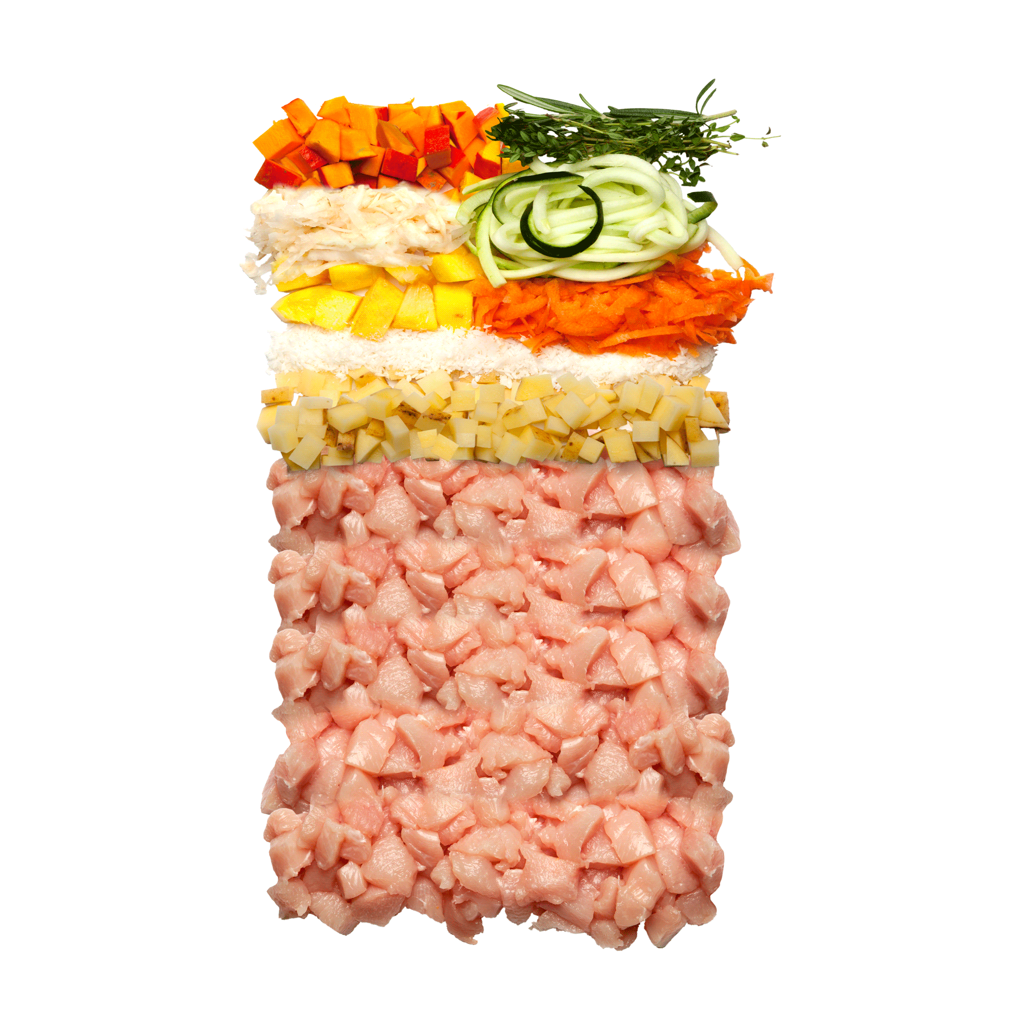 TC Canireo Huhn Insight Web