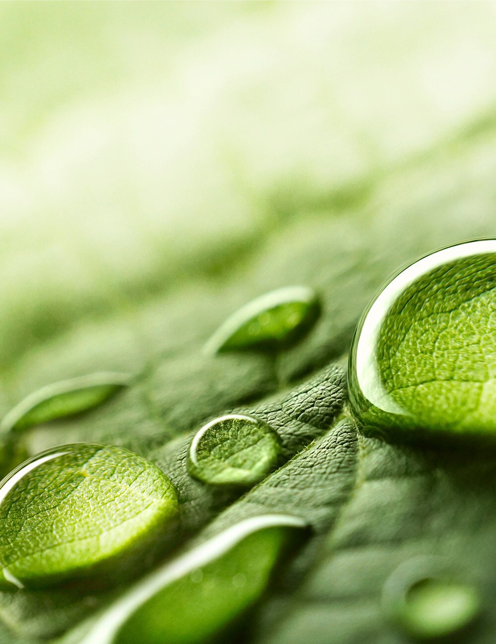 Unsere Philosophie Image2