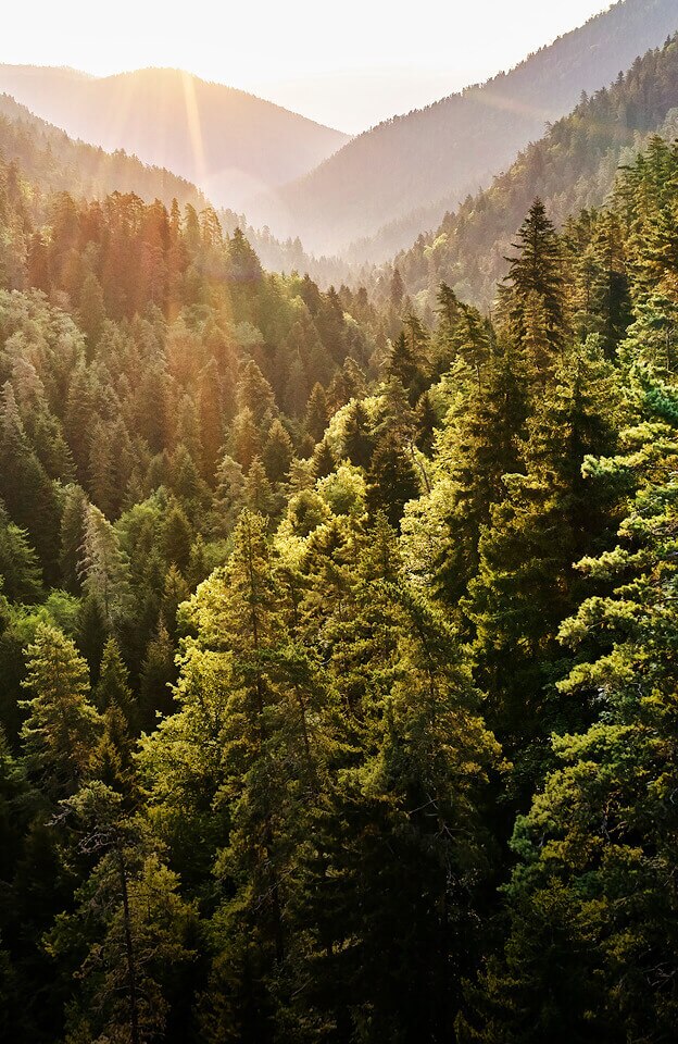 TC Start Goes Green NachhaltigeVerpackung