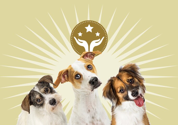 TC DE Shop Kundenvorteile Sternenfaenger