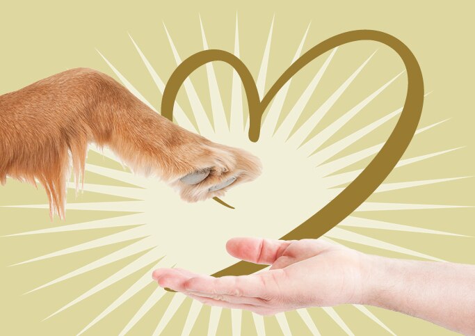 TC DE Shop Kundenvorteile Freundschaftswerbung 01