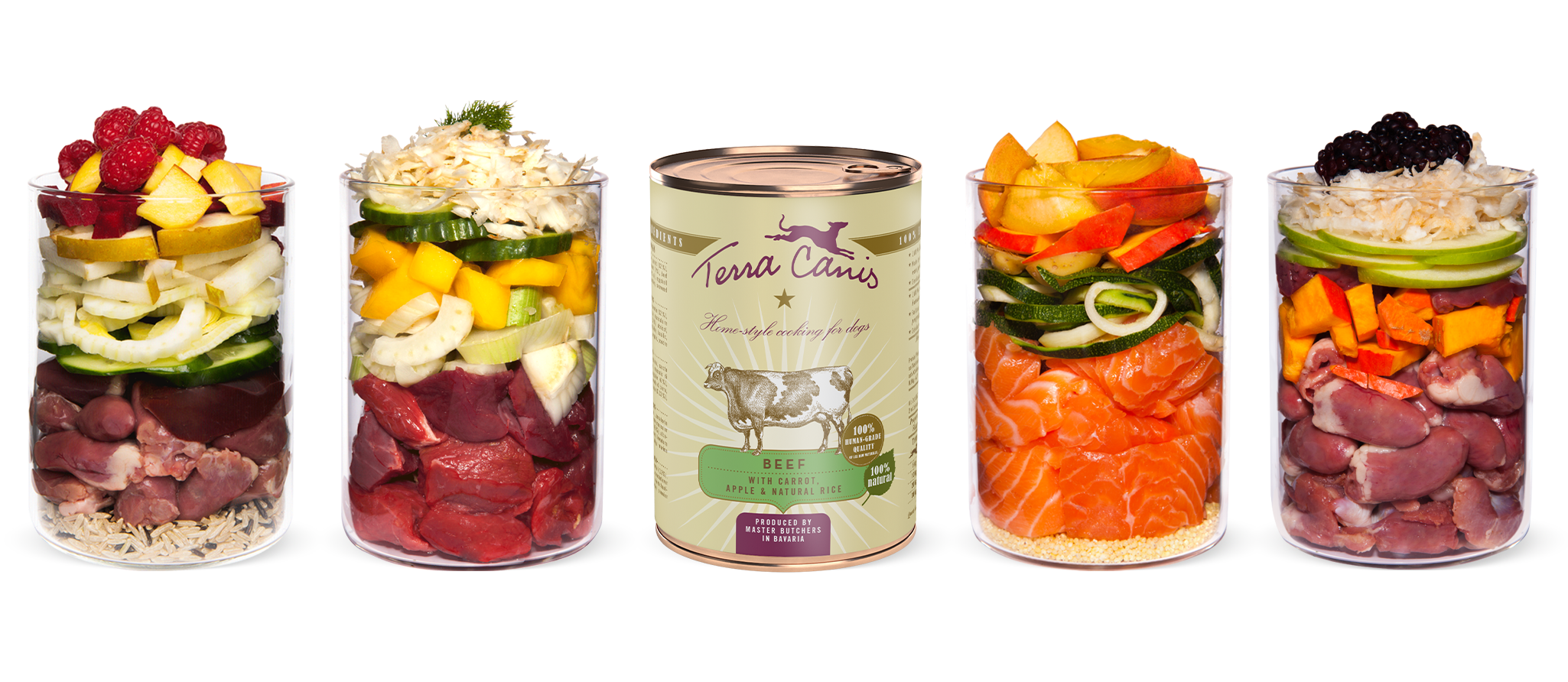 TC Content Insight Neu 5 Er 1734x796