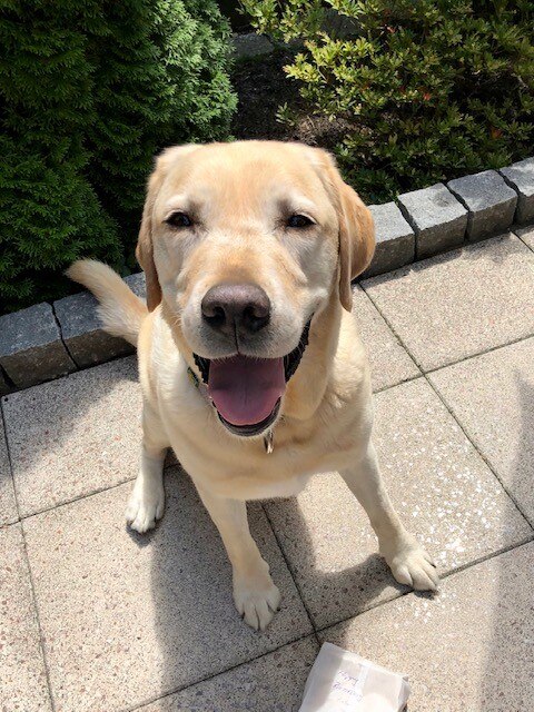  Brix & sein Frauchen