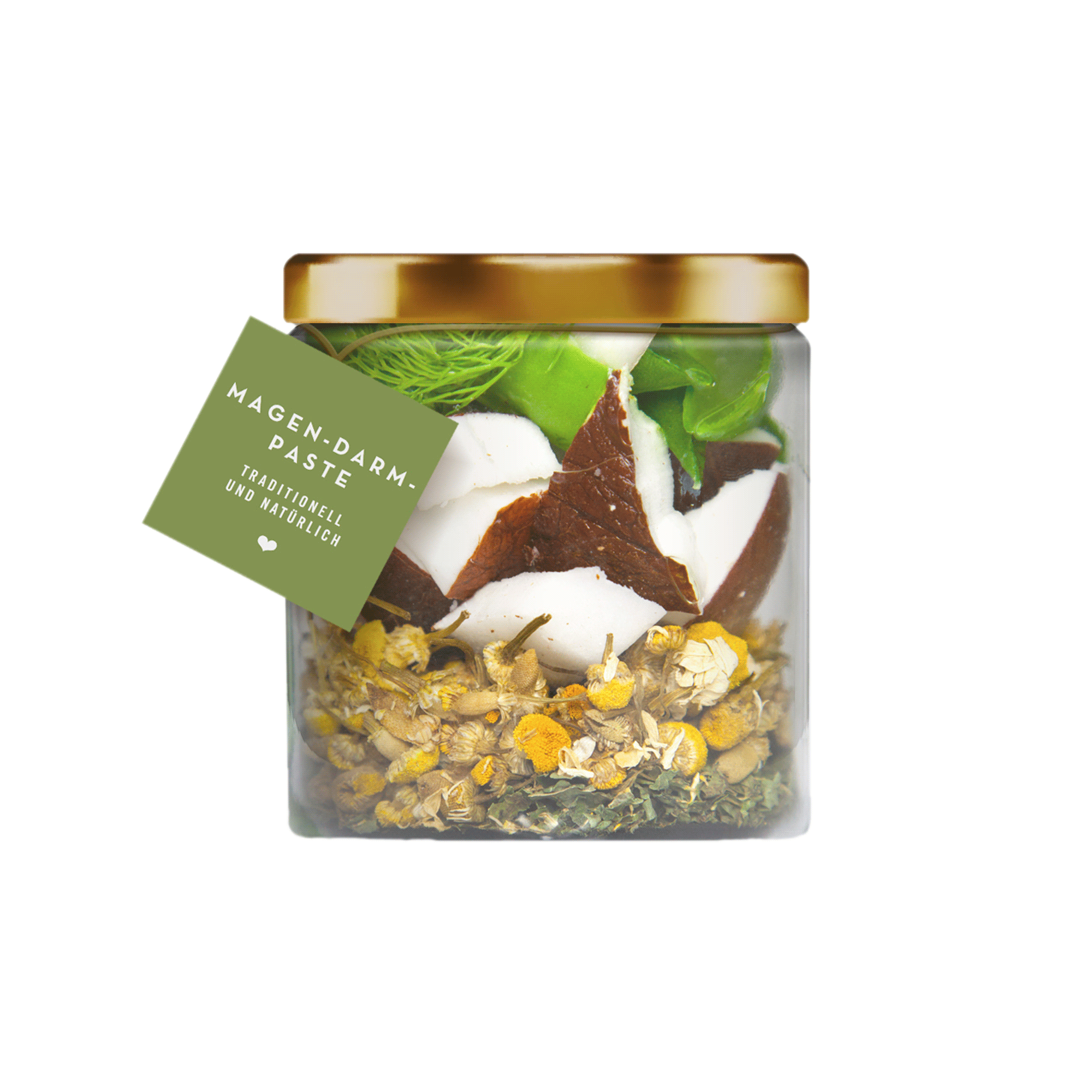 TC Pasten Magen Insight Web