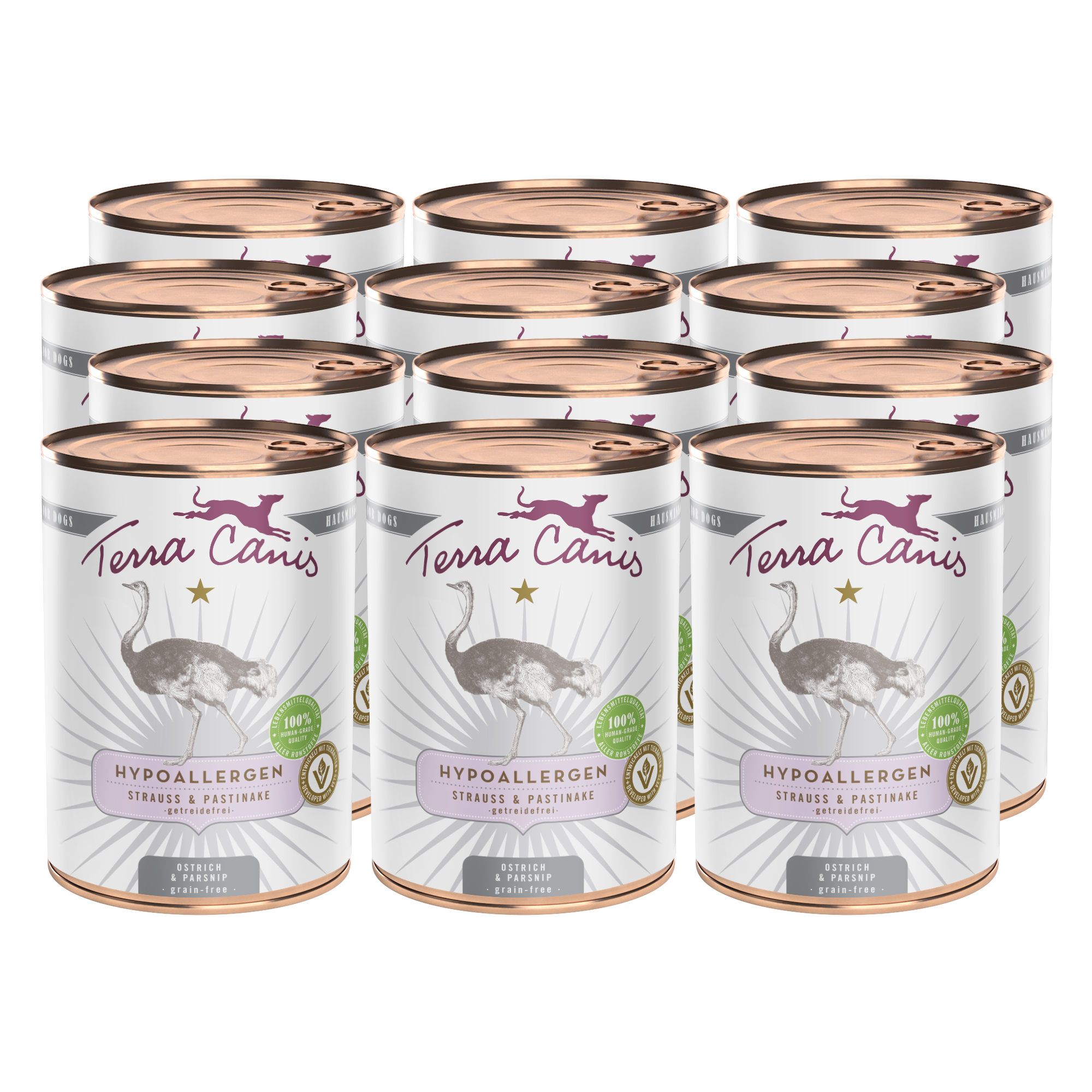 Strauß mit Pastinake