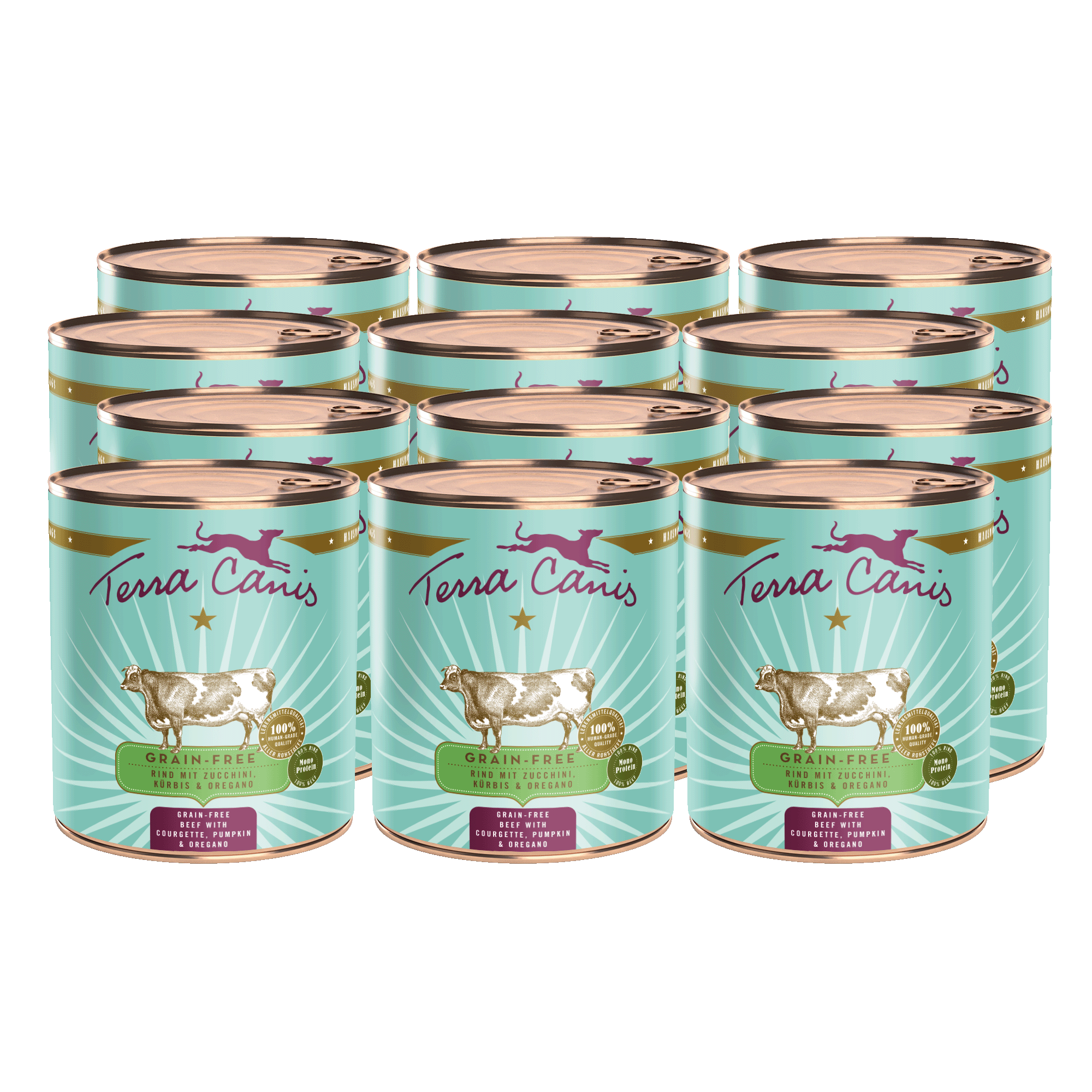 Rind mit Zucchini, Kürbis und Oregano