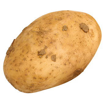 TerraCanis Kartoffeln