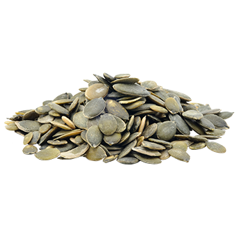 TerraCanis Kuerbiskerne