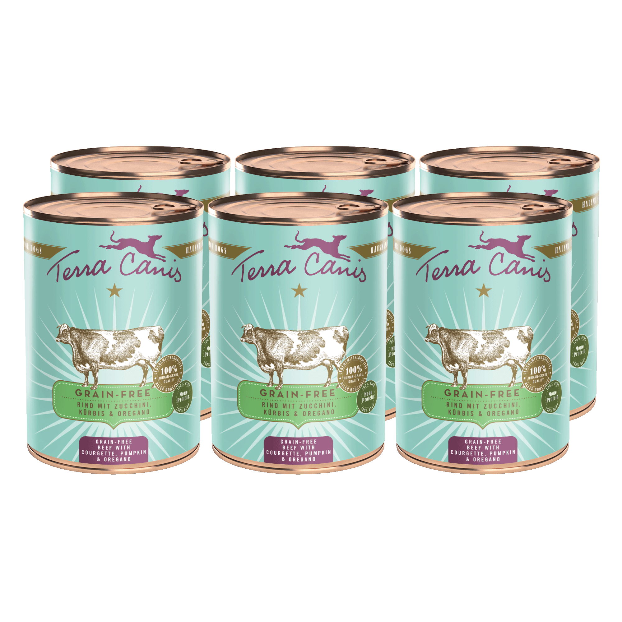 Rind mit Zucchini, Kürbis und Oregano