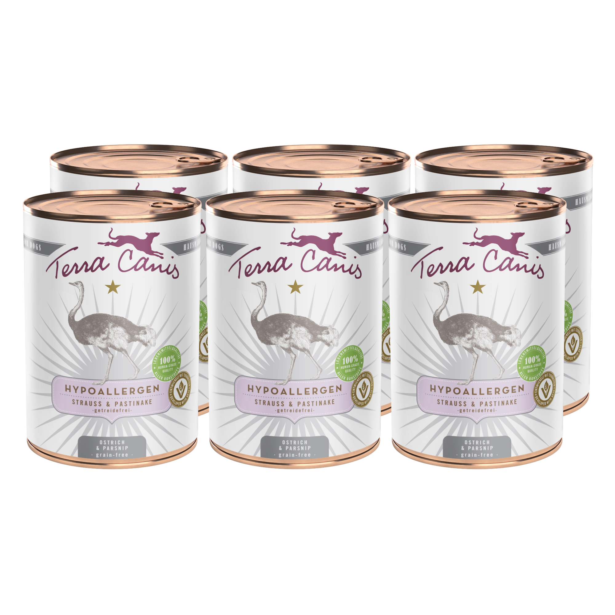 Strauß mit Pastinake