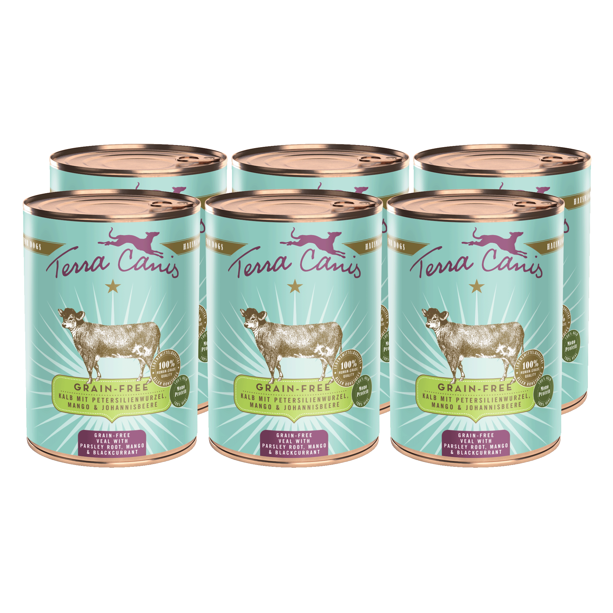 Kalb mit Petersilienwurzel, Mango und Johannisbeere