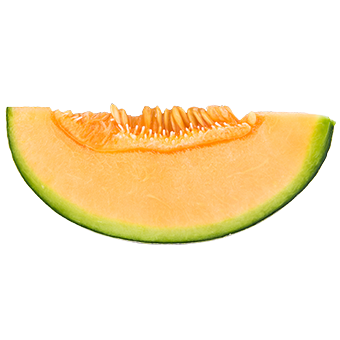 TerraCanis MeloneGelb