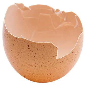 TerraCanis Eierschale