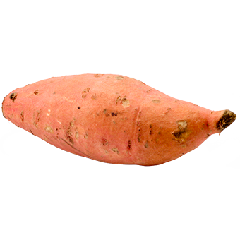 TerraCanis Suesskartoffel