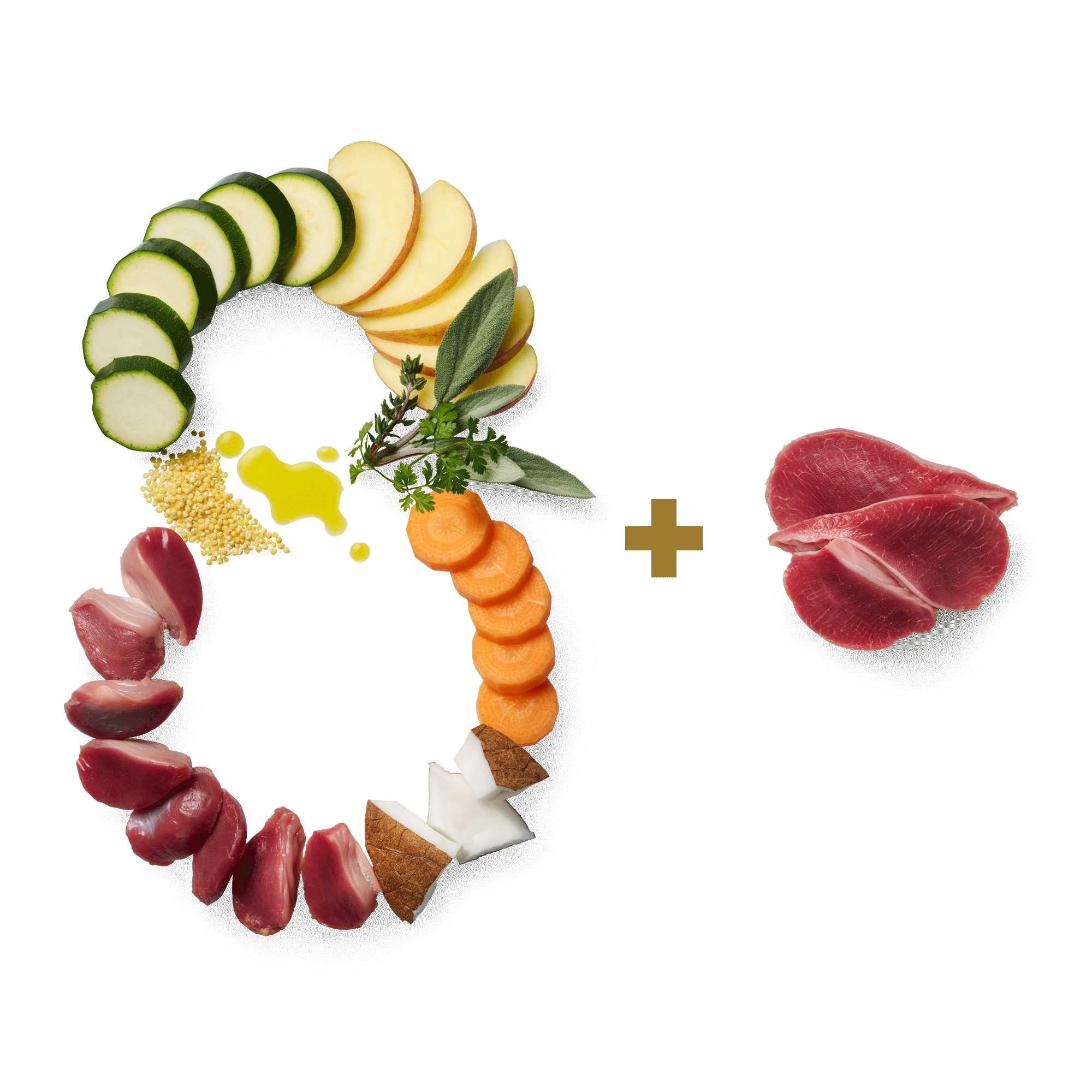 TC Insight Essential8 Pute 2000x2000