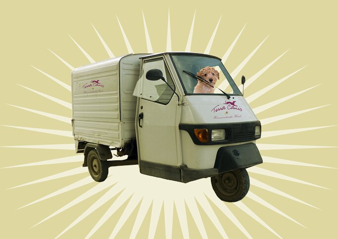 TC DE Shop Kundenvorteile Futterabo