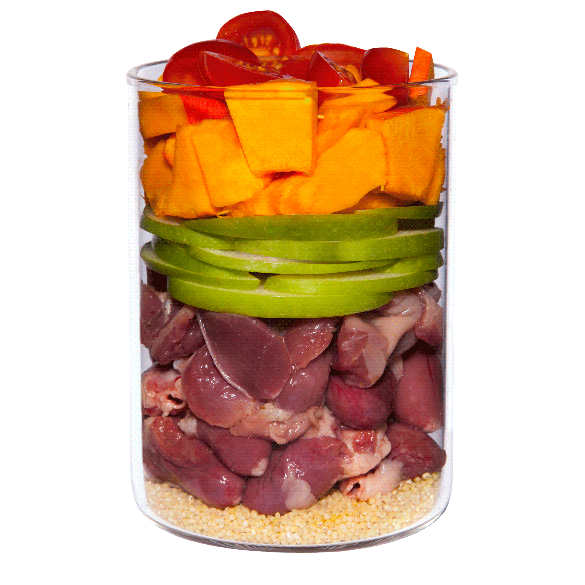 TC Welpe Insight Huhn Web