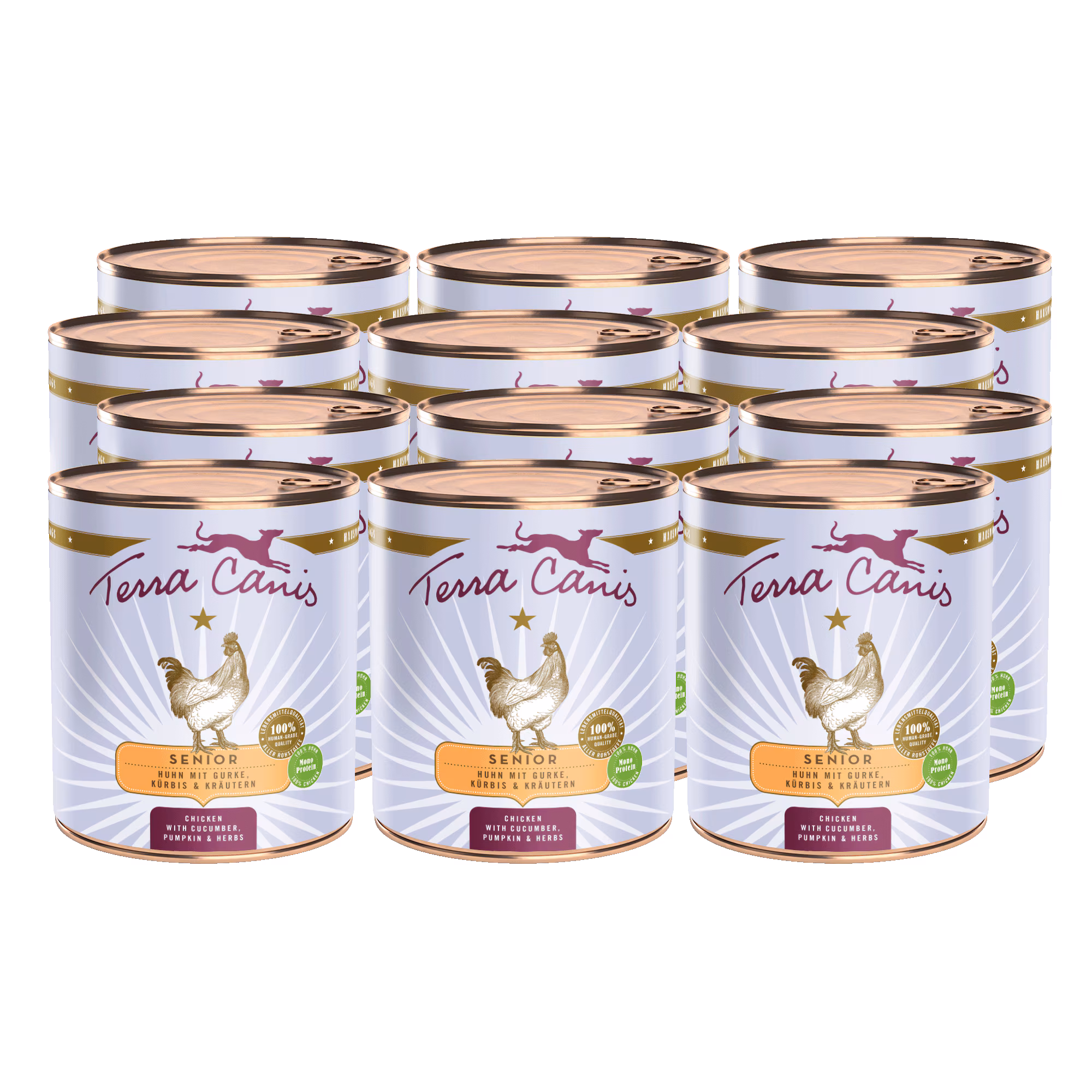 Huhn mit Gurke, Kürbis und Gesundheitskräutern