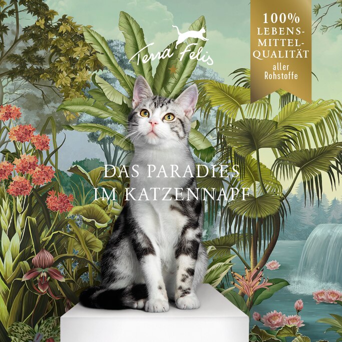 TF Paradies 683x683 DE