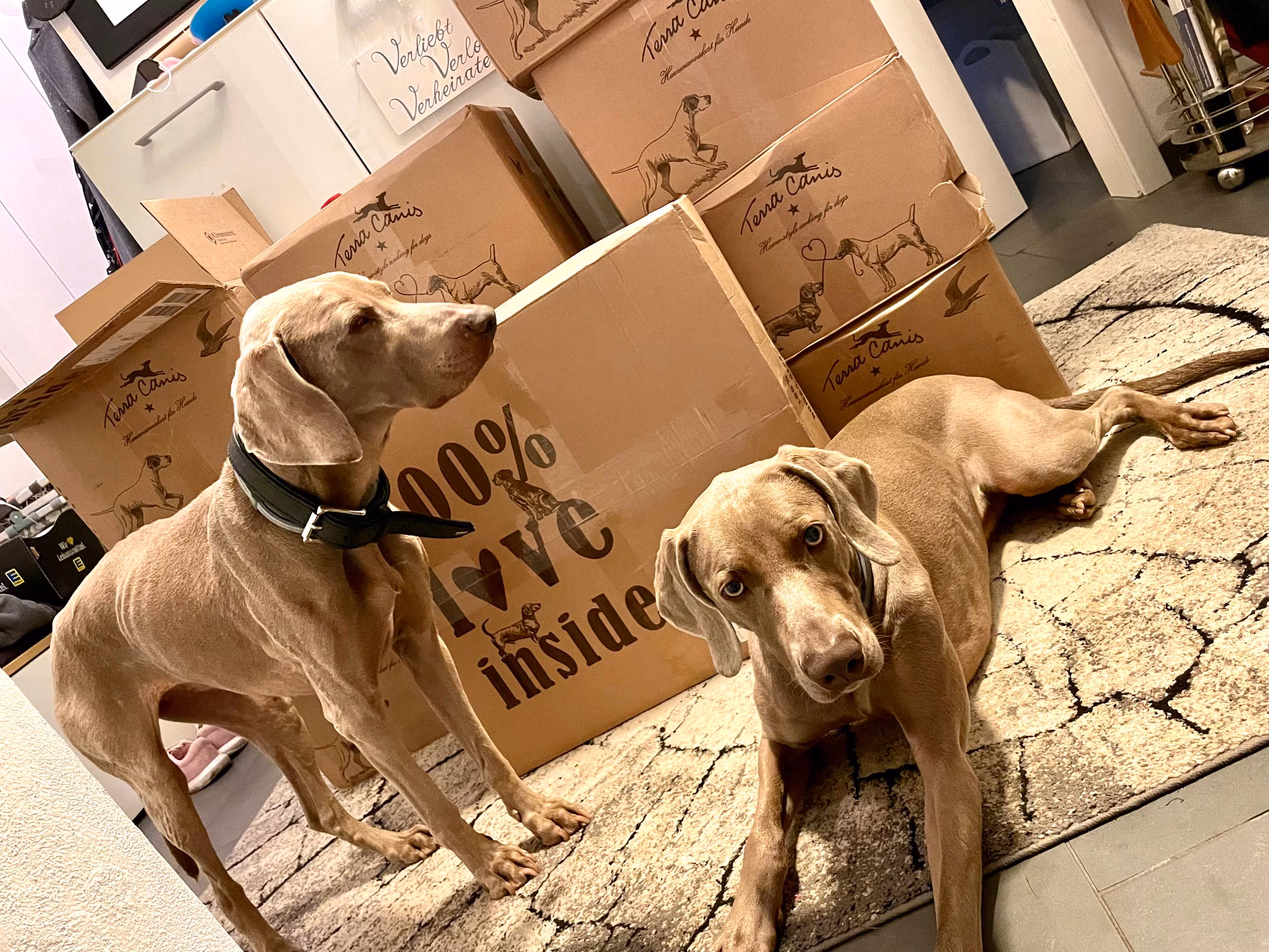 Constanze, Abby und Emma