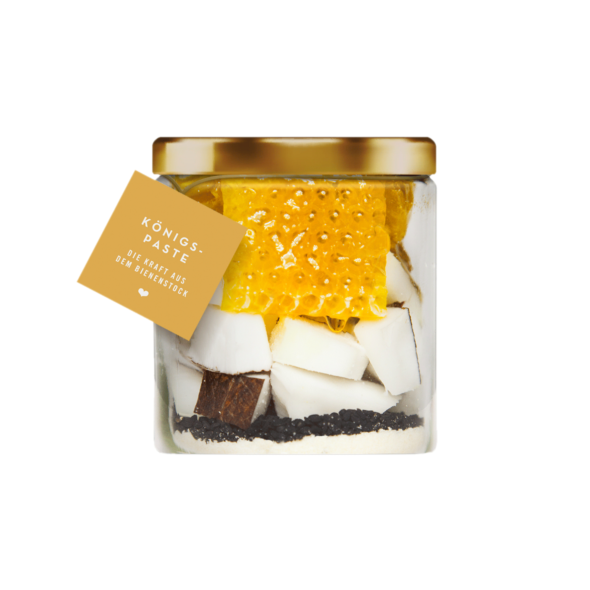 TC Pasten Koenigs Insight Web