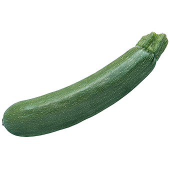 Zucchini