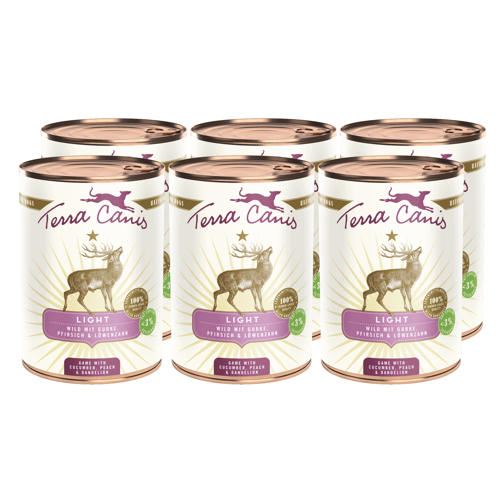 Wild mit Gurke, Pfirsich und Löwenzahn