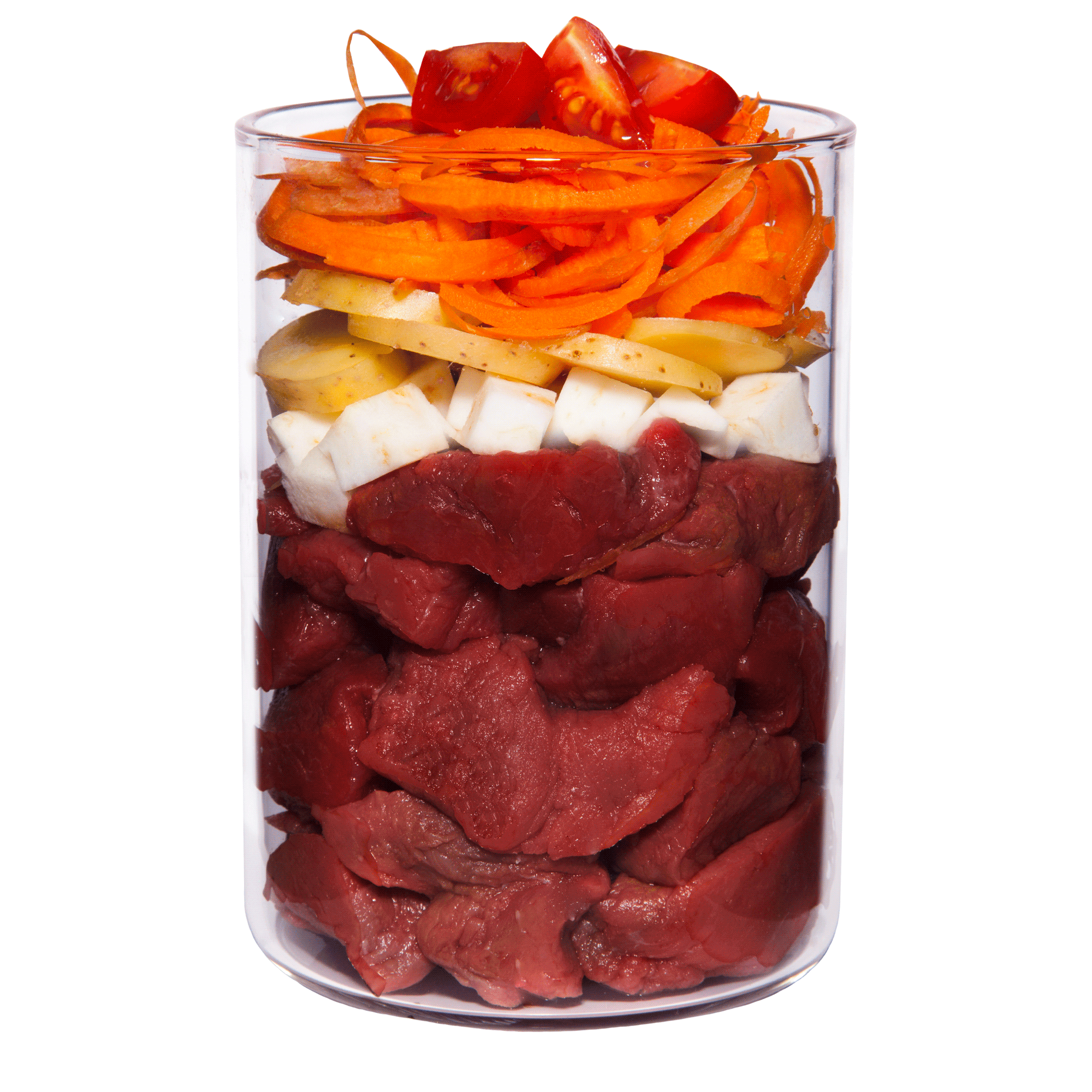 TC Senior Insight Wild Web