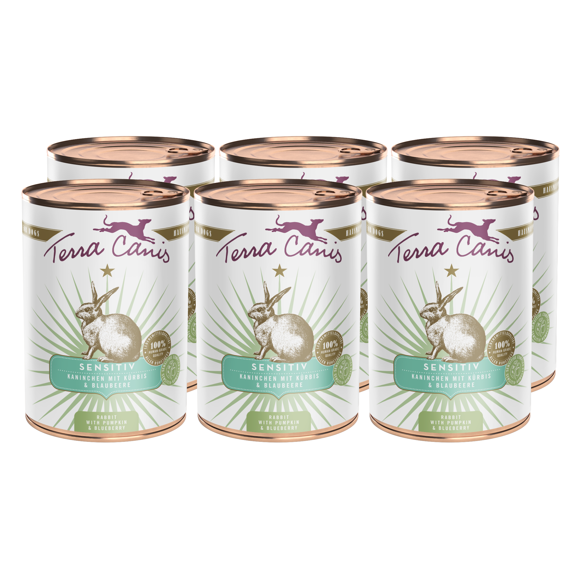 Kaninchen mit Kürbis und Blaubeere