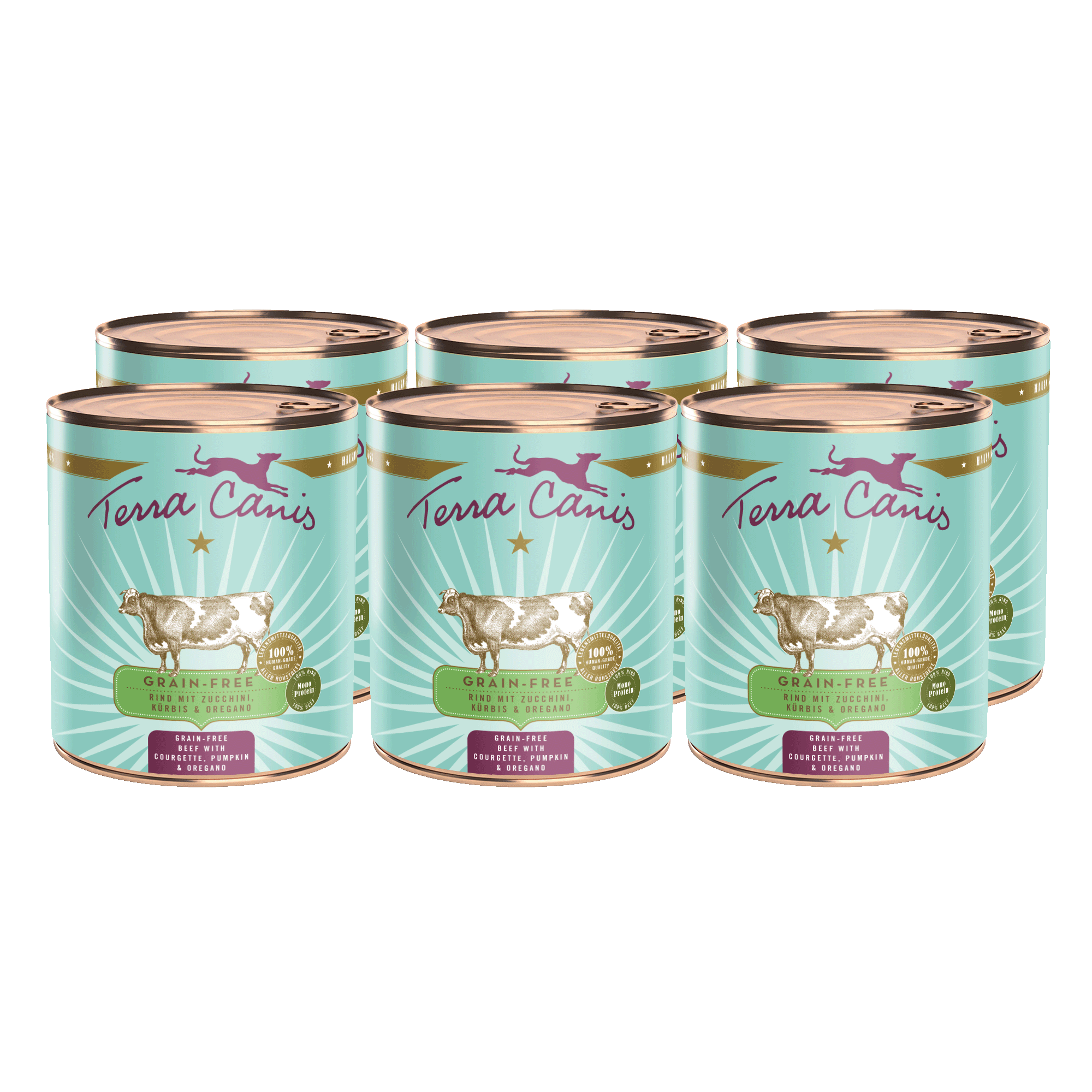 Rind mit Zucchini, Kürbis und Oregano