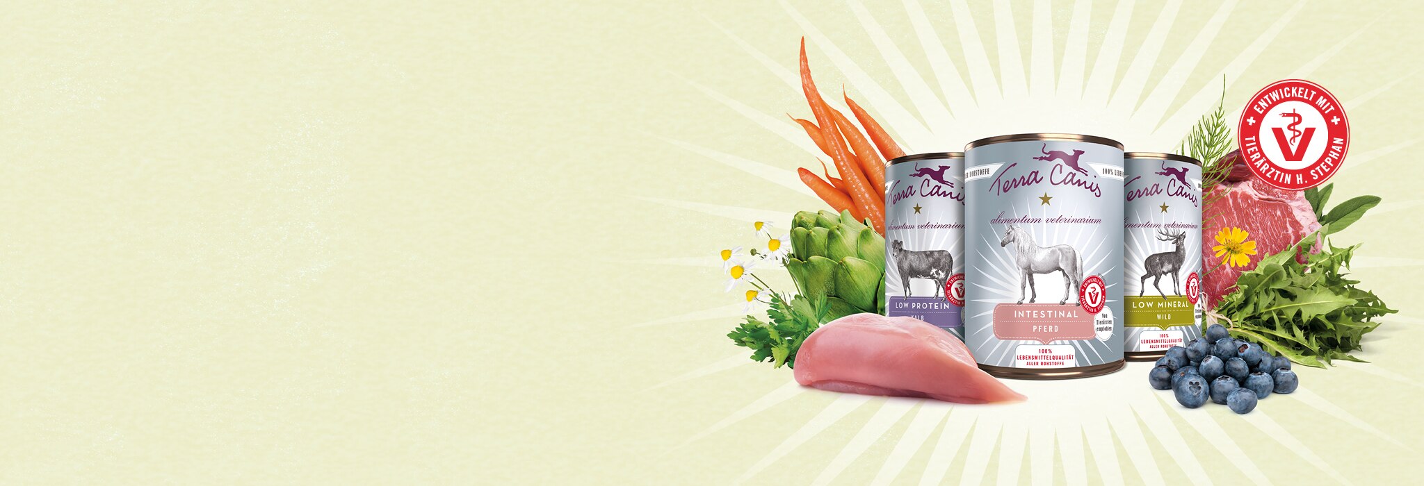 Alivet Crosspromo LMQ Desktop DE 26102020