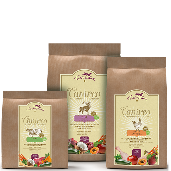Hundefutter Trockenfutter