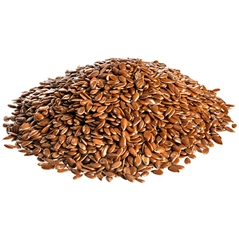 TerraCanis Leinsamen