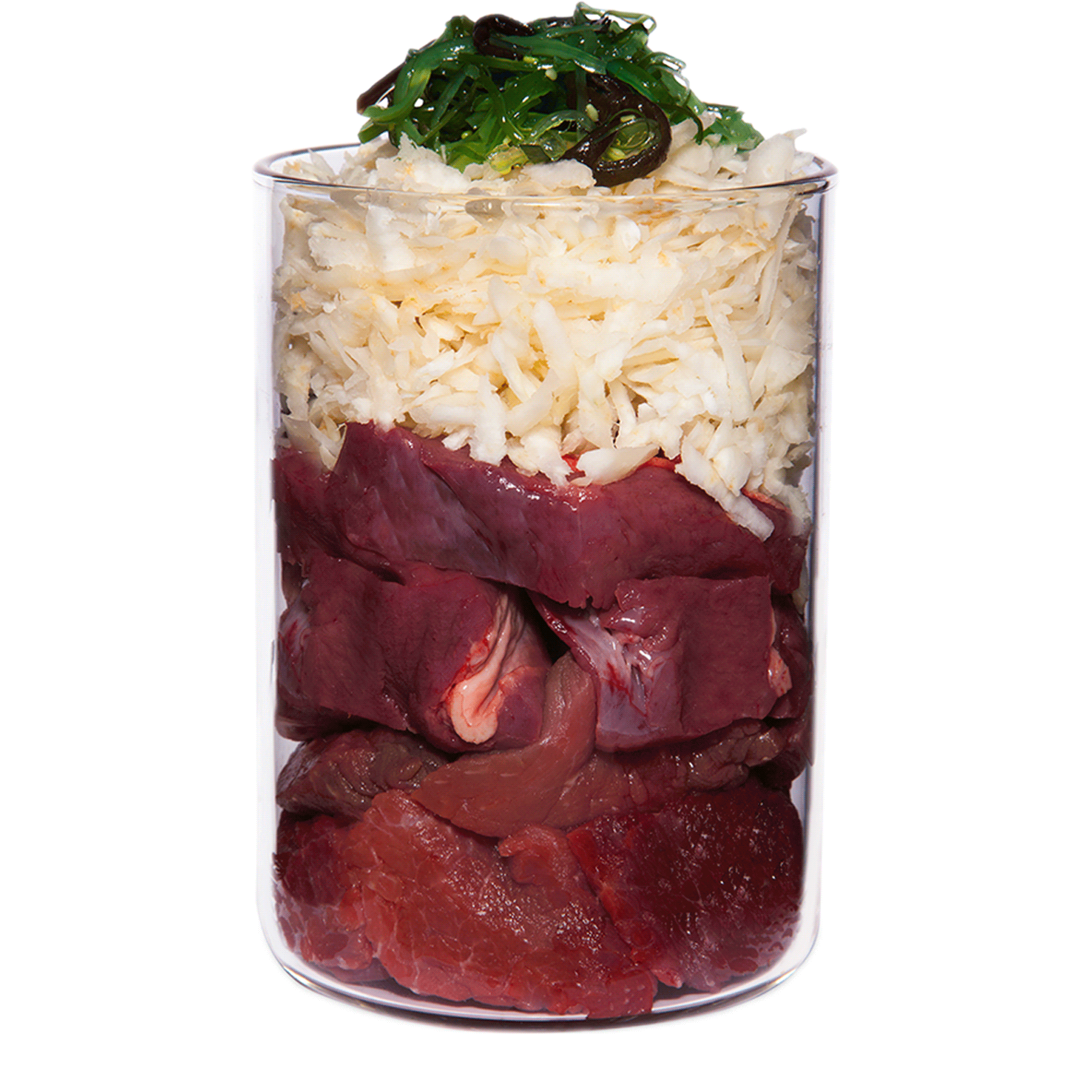 TC Hypo Insight Pferd Web