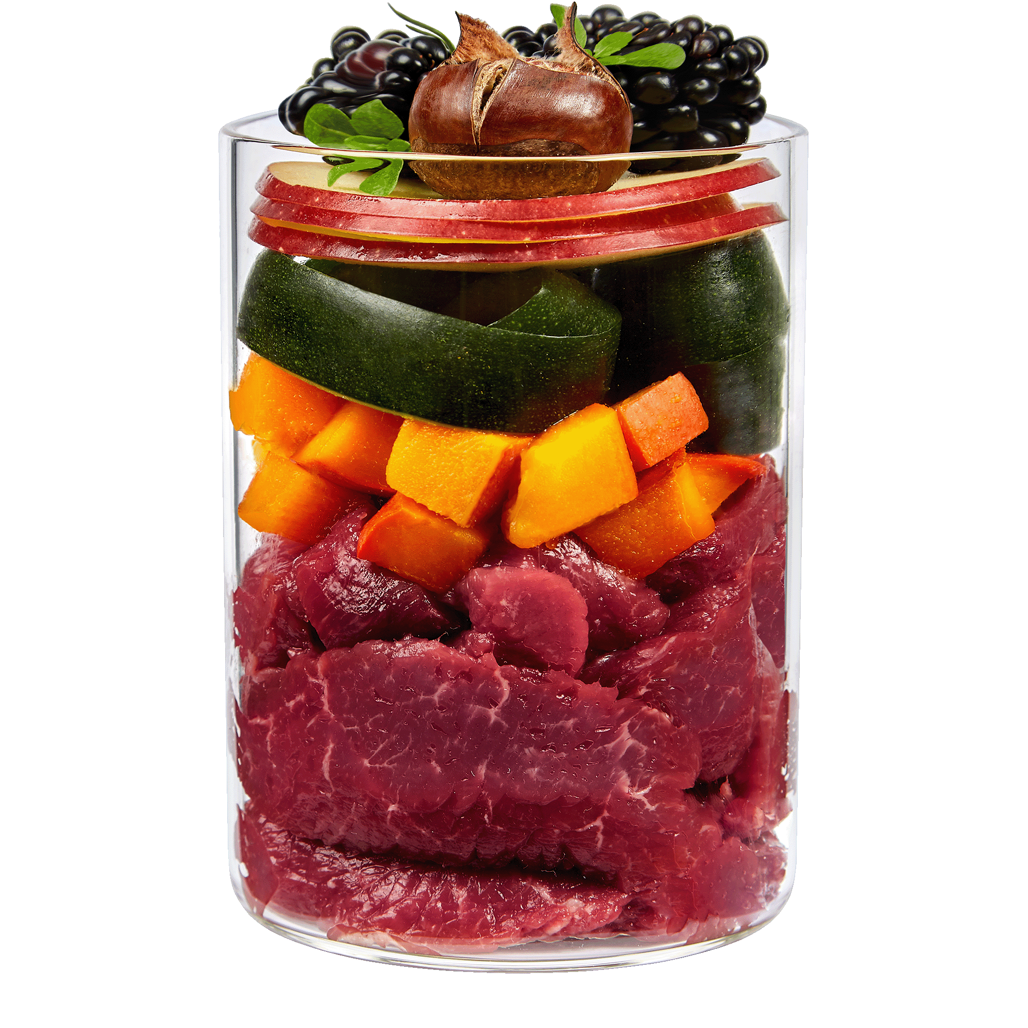 TC STP Treelover Insight 400 Shop