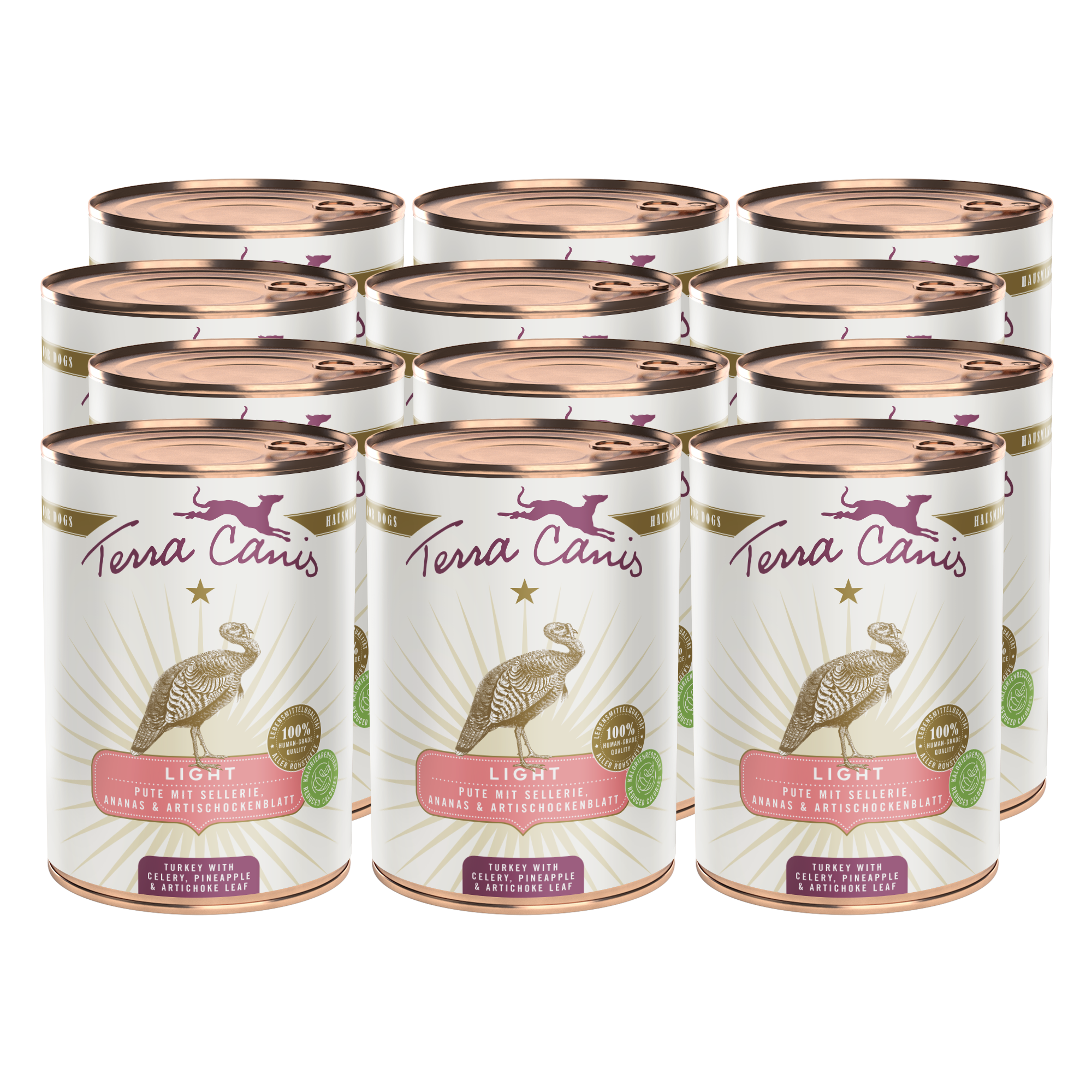 Pute mit Sellerie, Ananas und Sanddornbeere