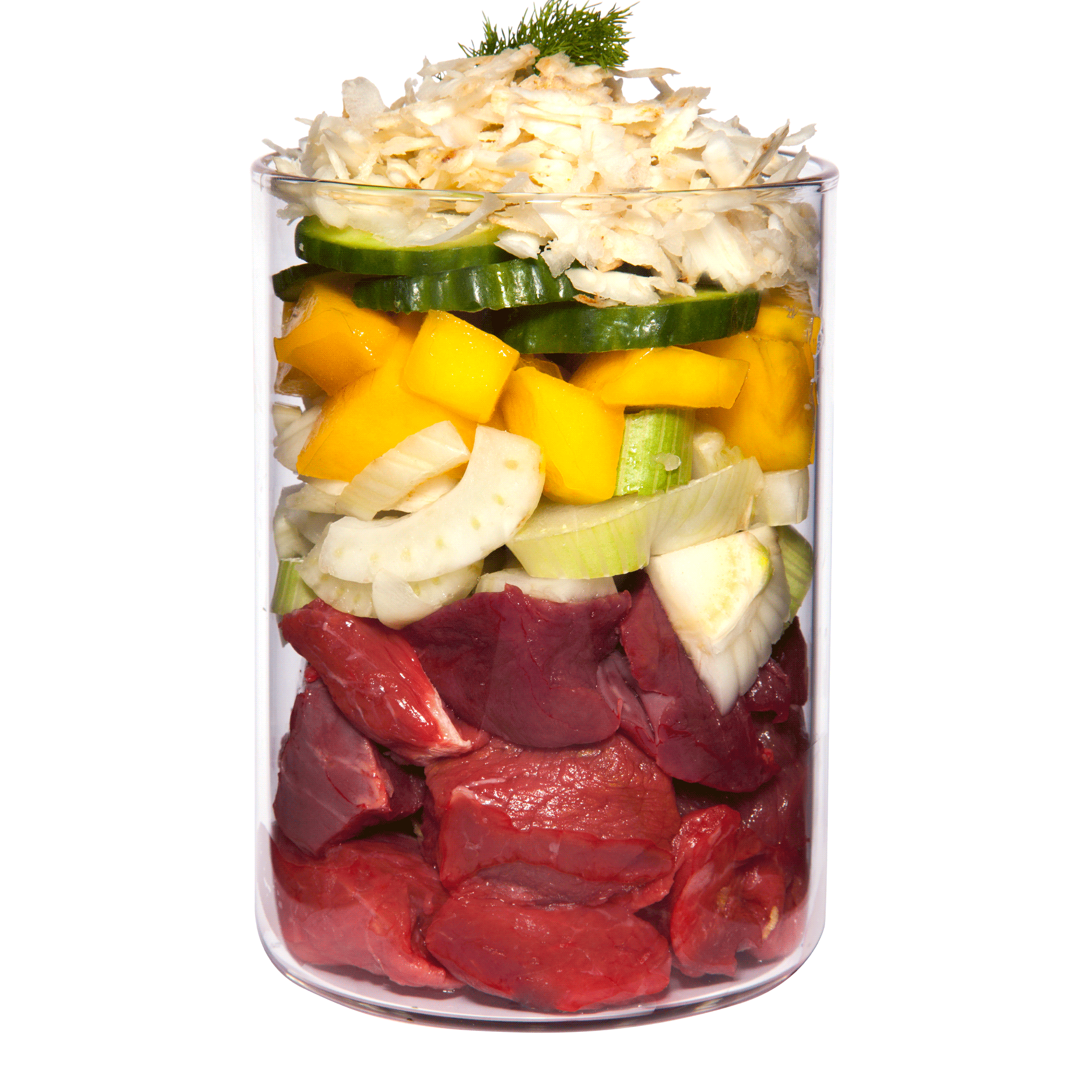 TC Light Insight Rind Web