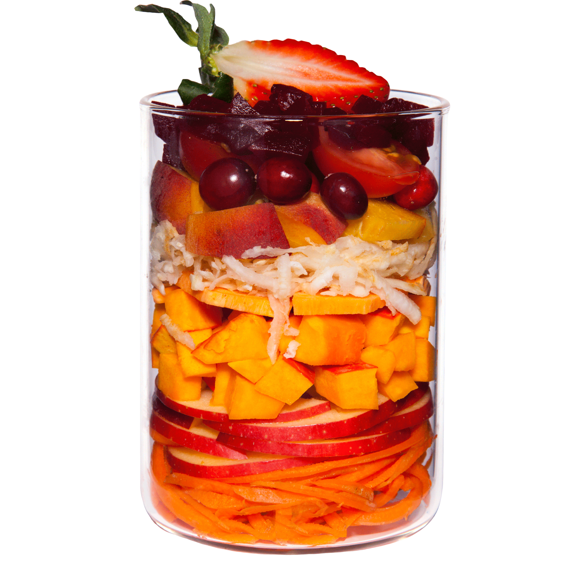 TC Gartentopf Insight Reddetox Web