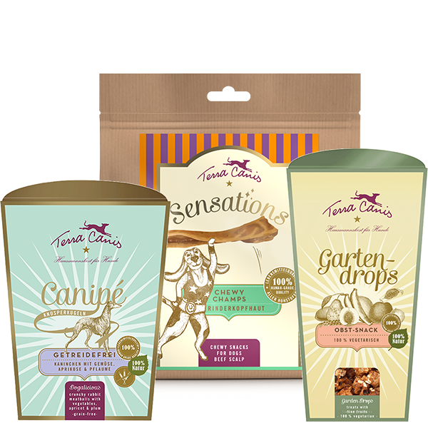 Hundefutter Hundesnacks