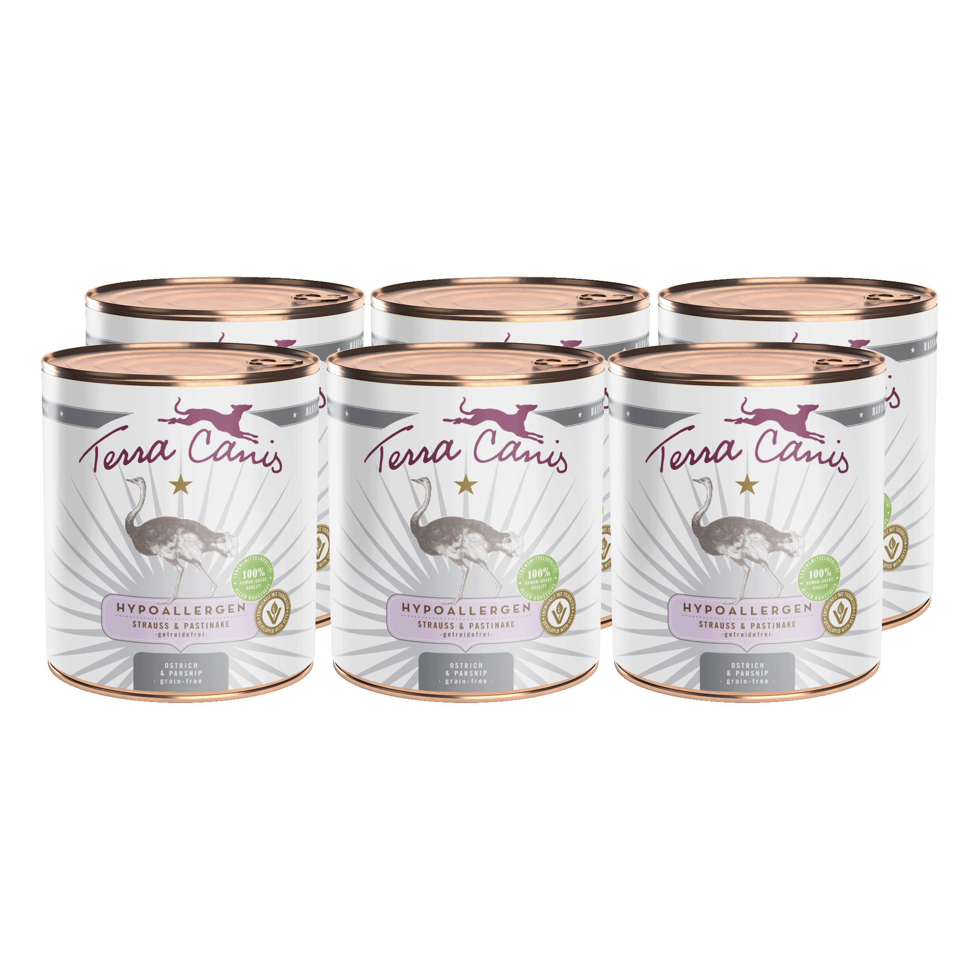 Strauß mit Pastinake