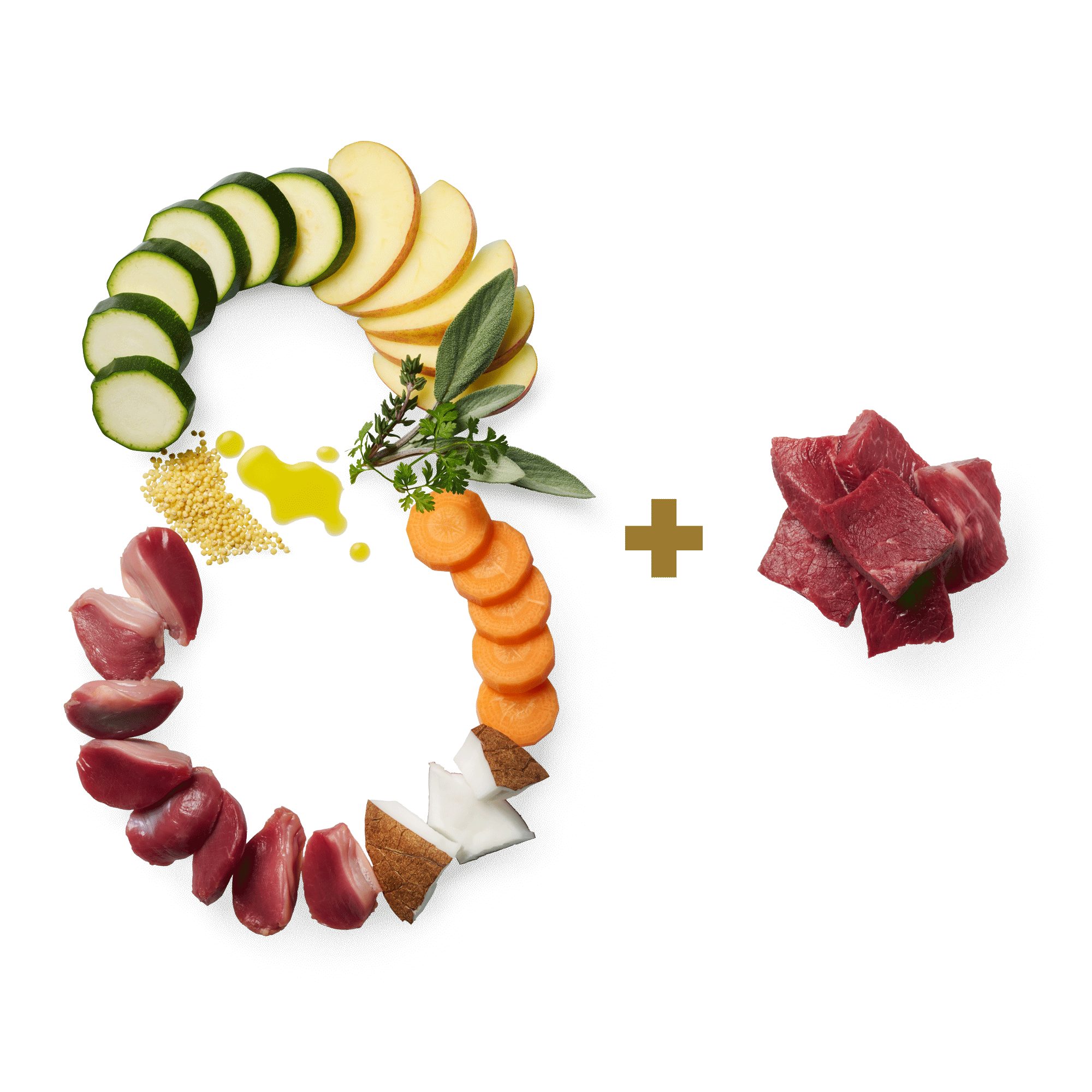 TC Insight Essential8 Pferd 2000x2000