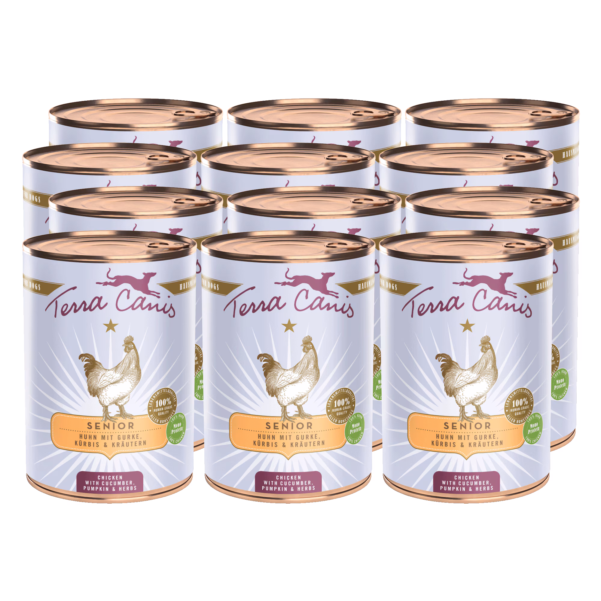 Huhn mit Gurke, Kürbis und Gesundheitskräutern