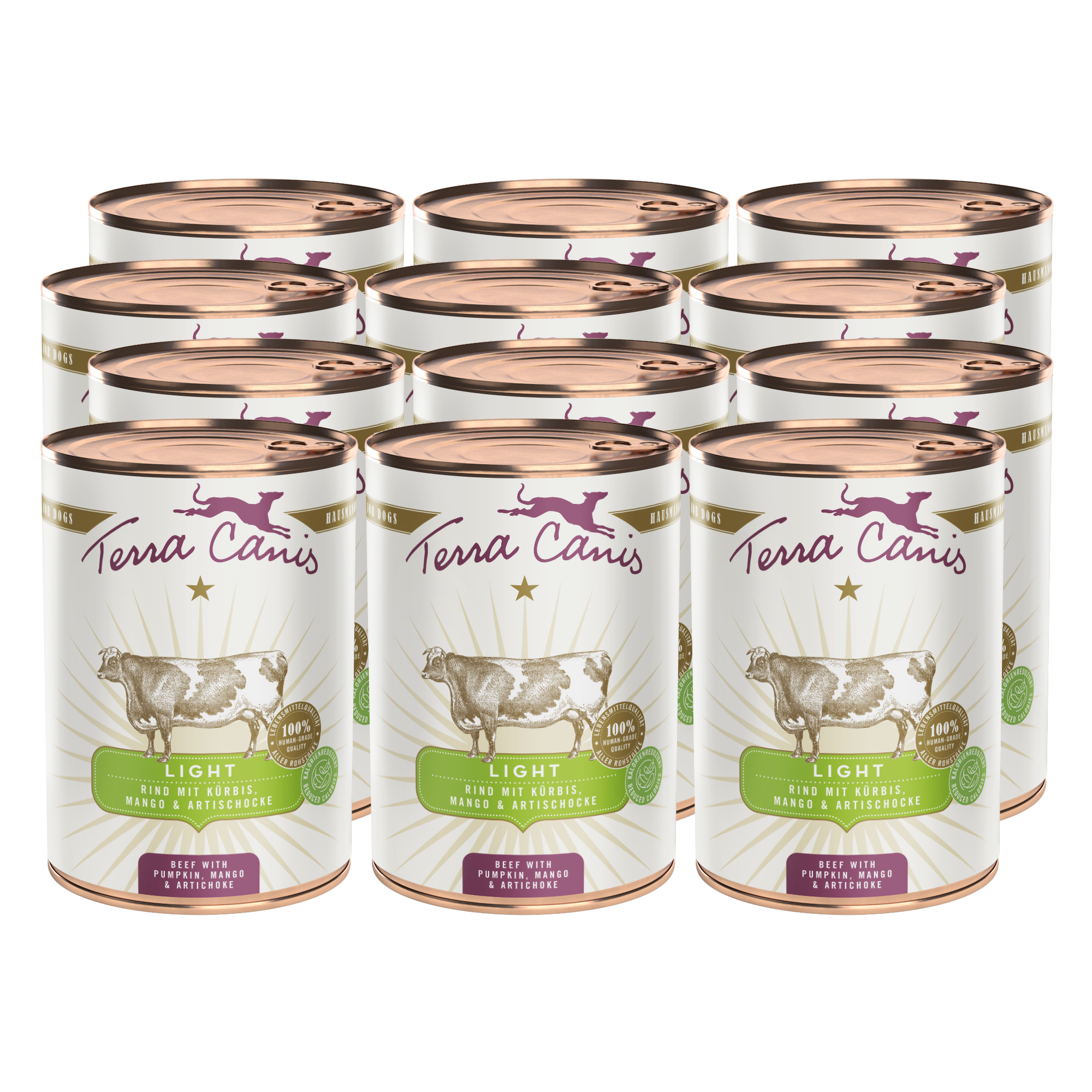 Rind mit Kürbis, Mango und Artischocke