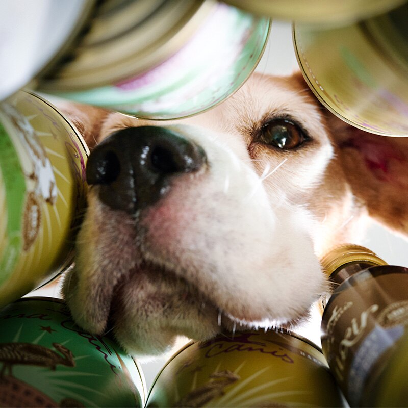 Futterspenden TerraCanis