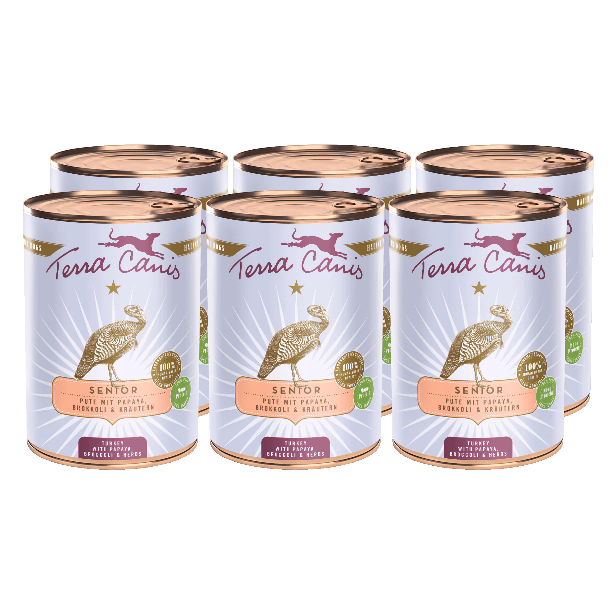 Pute mit Papaya, Brokkoli und Gesundheitskräutern