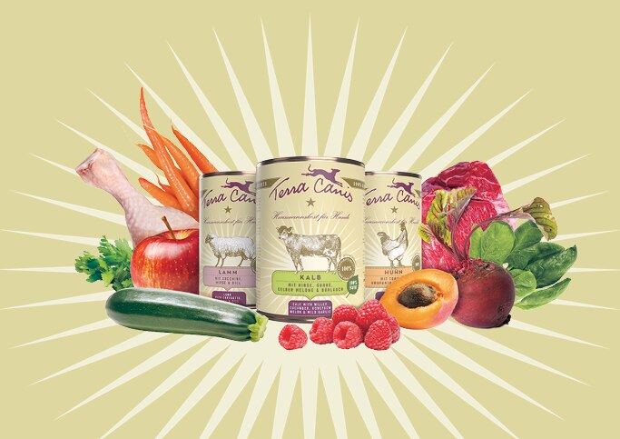 TC DE Shop Kundenvorteile Beratung