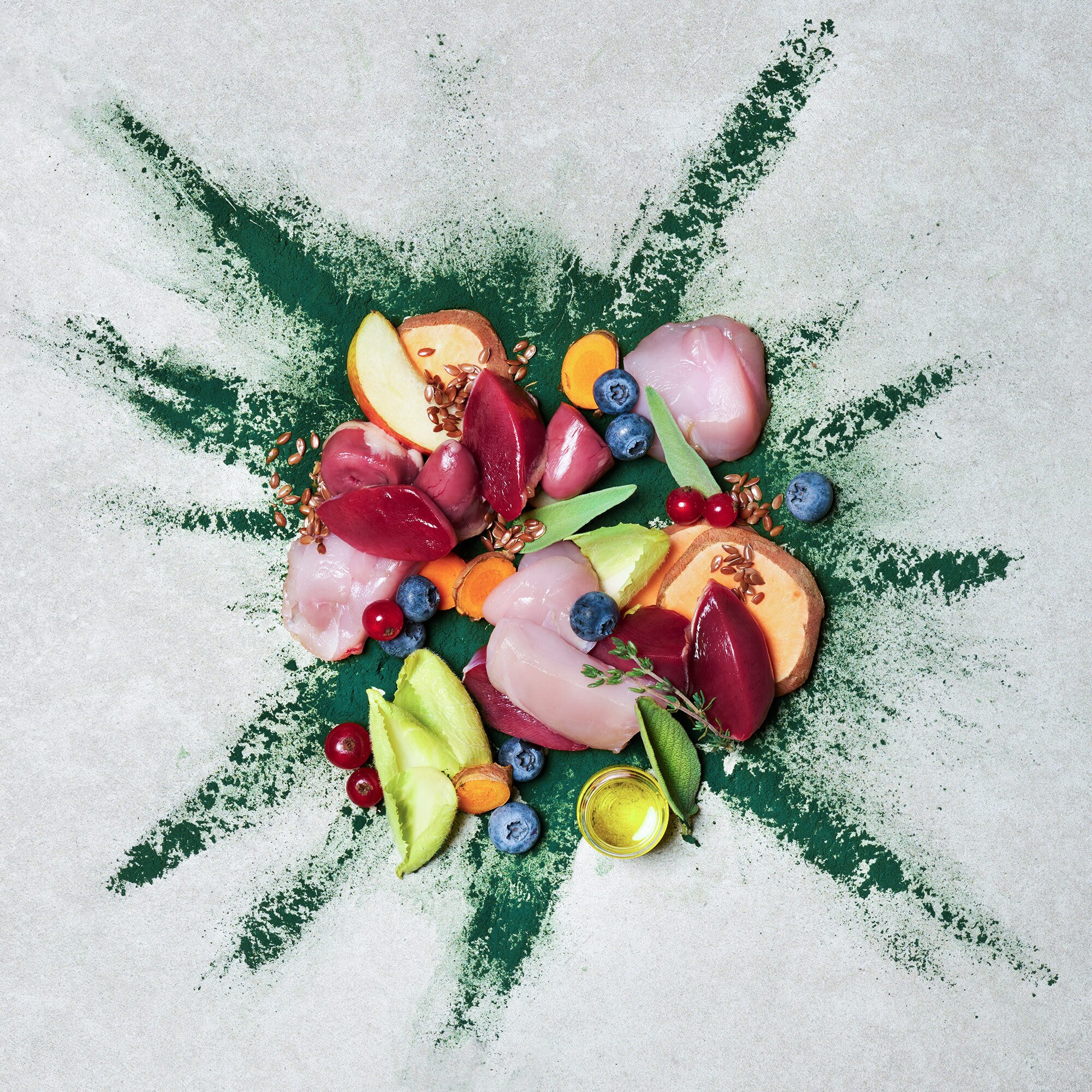 840014 TC Naturhund Insight Huhn 2000x2000