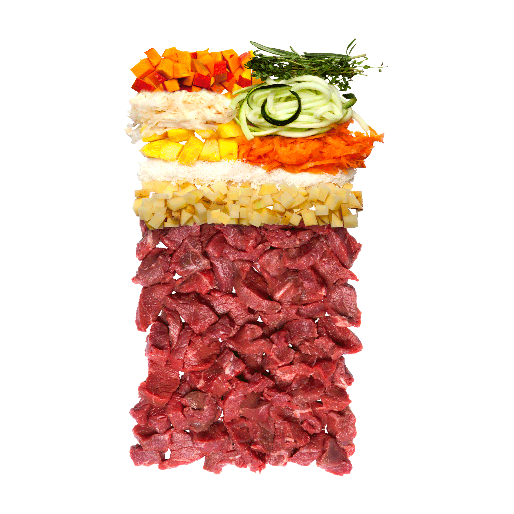 TC Canireo Wild Insight Web